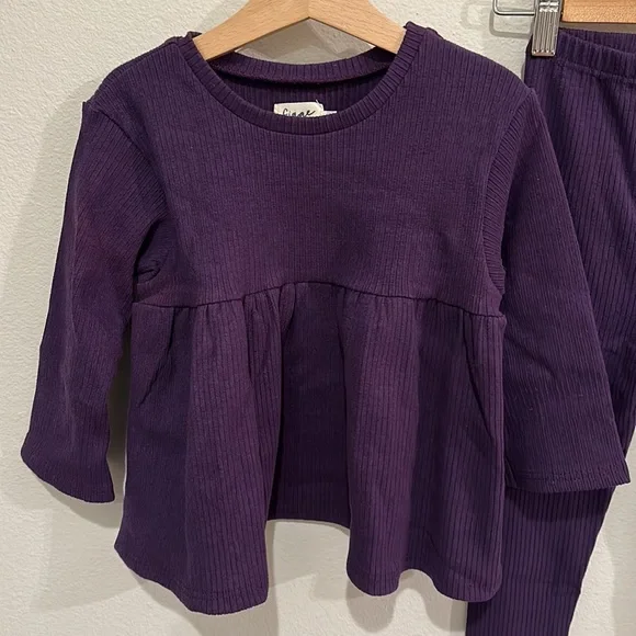 NWOT size 6 Figge Petunia Ellwood Tee & Slim Leggings!
